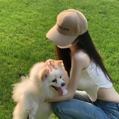 懵懵哒爱情 高清封面